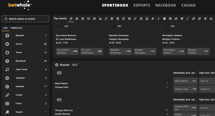 A screenshot of the range of sports available at BetWhale, a top North Carolina sportsbook